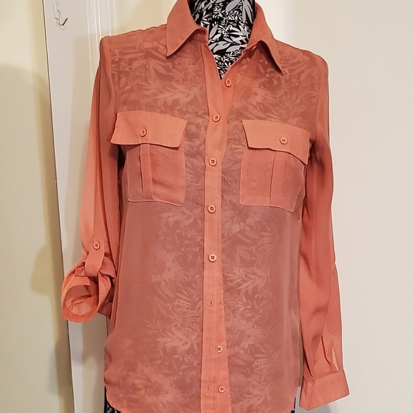 Button front chiffon long sleeves buttondown shirt sheer - Picture 3 of 6